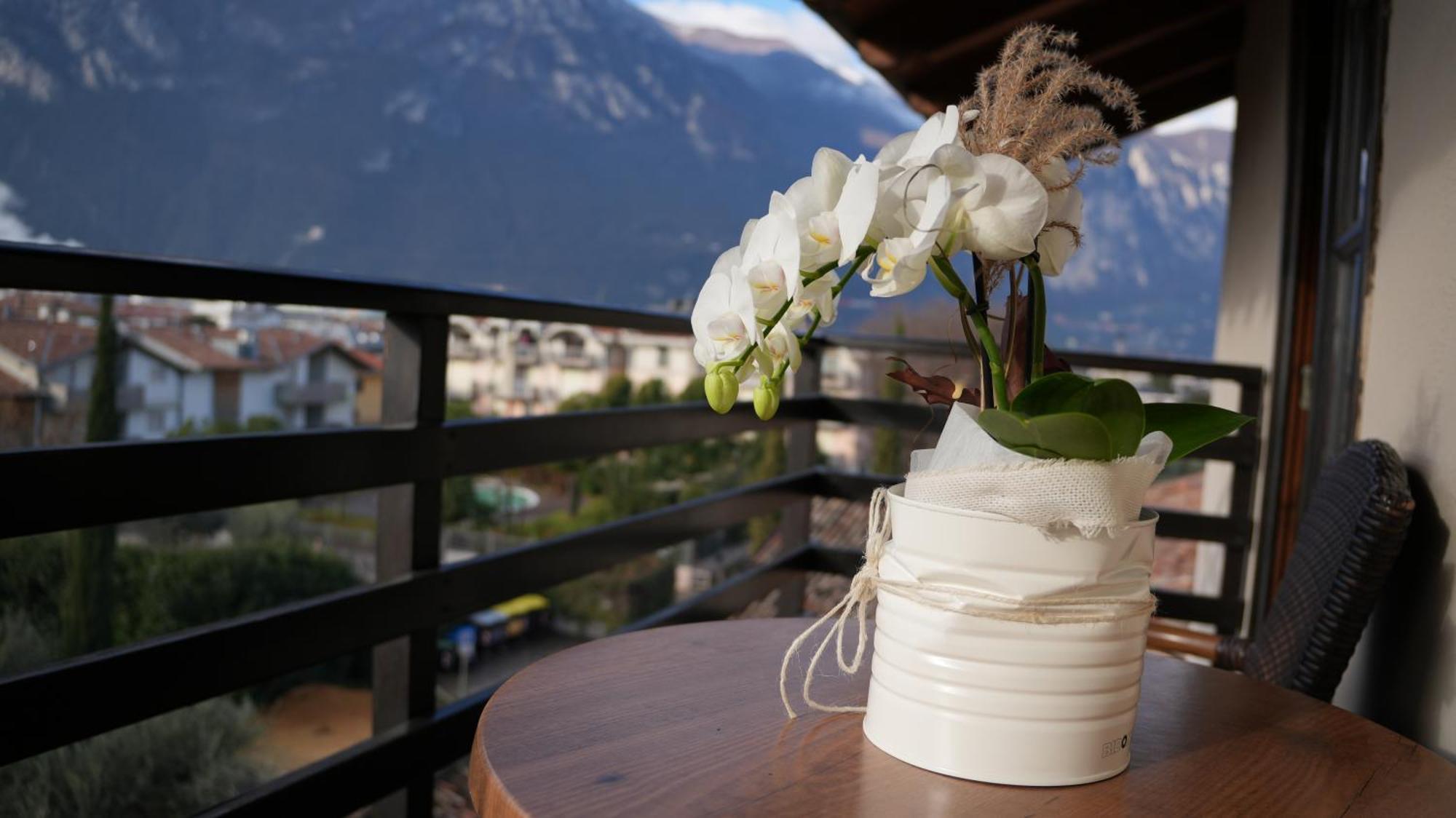 Residence La Colombera Riva del Garda Rum bild